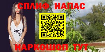 гидра Новокубанск