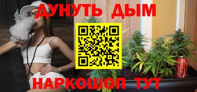 гидра Новокубанск
