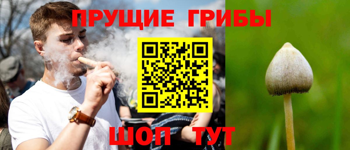 Урай  магазин  наркотиков  Вход с VPN  Псилоцибиновые грибы Psilocybine cubensis  Псилоцибиновые грибы Cubensis 